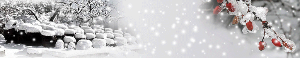 5de86458b7736.gif