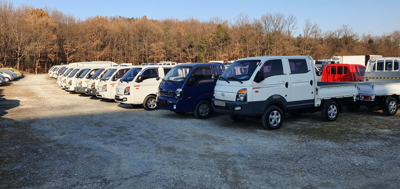61ea533185699.jpg
