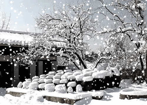 6938f498e0a7f.gif